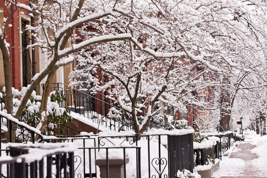 Buildings along a snow covered street, Commonwealth Avenue, Boston, Massachusetts, USA