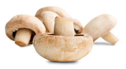 Fresh ripe whole champignon mushroom
