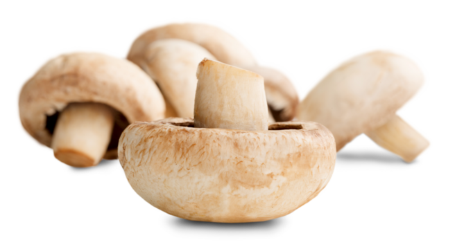 Fresh ripe whole champignon mushroom