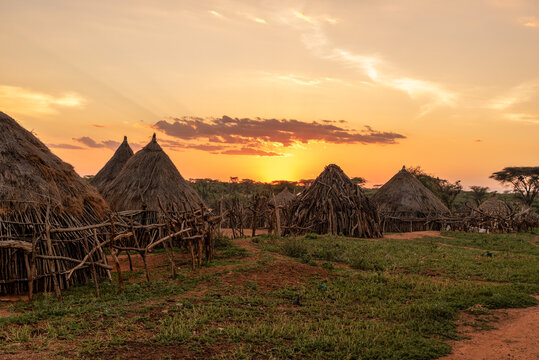 Hamer Bilder Durchsuchen 1,233 Archivfotos, und Videos