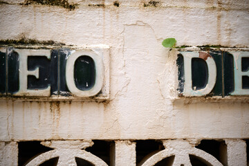 decorative spanish sign on wall with small plant