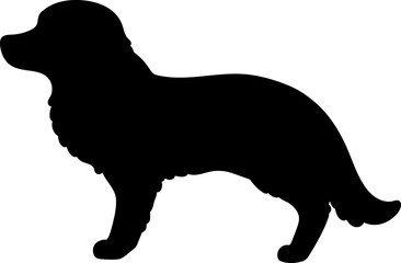 Simple and cute silhouette of Border Collie in side view