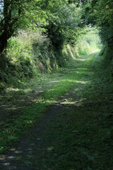 Obraz premium Countryside - County Cork - Ireland