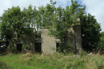Countryside - County Cork - Ireland