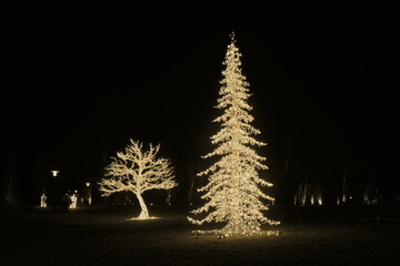 beleuchtete Bäume aus Lichterketten bei der Lichtinstallation Lumagica im Elbauenpark in Magdeburg zur Einstimmung auf die Weihnachtszeit und die kalte Jahreszeit - obrazy, fototapety, plakaty
