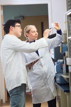 Engineering students looking at reference samples for thermogravimetric analyzer in chemistry laboratory