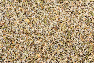 Dried  Lavandula angustifolia background