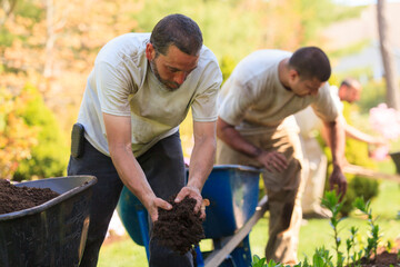 Landscapers putting mulch from wheelbarrows into a home flower garden