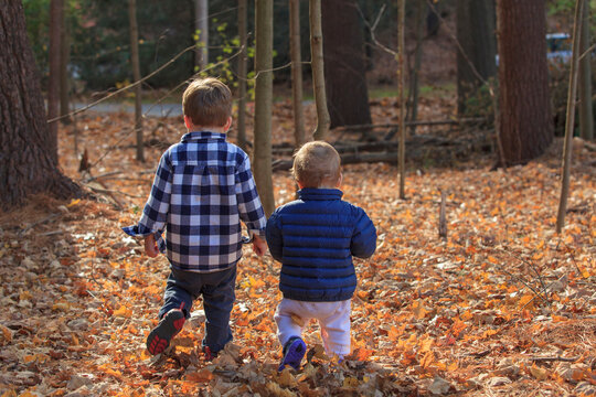Rear view of a boy and his baby sister walking on fallen leaves
