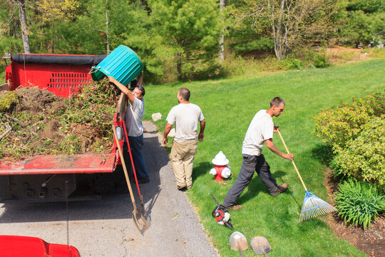 Landscapers clearing weeds and emptying them into a truck