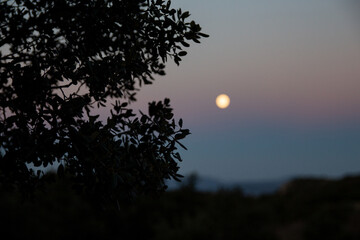 Sunrise over the mountains with blurred full moon