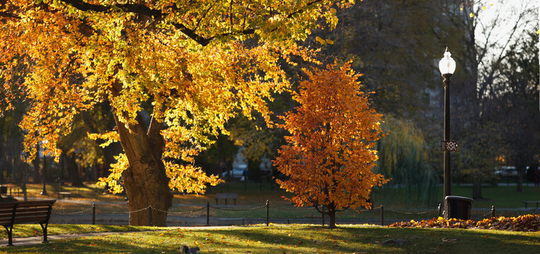 Boston Public Garden in the fall, Boston, Massachusetts, USA
