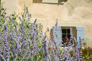 Lavender and blue window in France