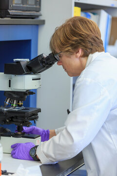 Lab chemist examining a sample slide on a microscope