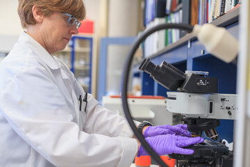 Lab chemist placing a sample slide on a microscope stage