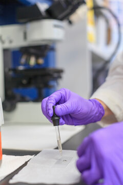 Lab chemist placing a small amount of liquid on a slide