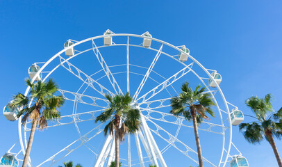 view of palm trees and giant Ferris wheel in Puerto Marina, Benalmadena, Malaga
