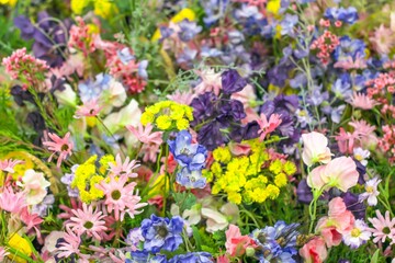 Fototapeta premium Mixed colorful flowers background. Vibrant colors of mixed flowers backdrop