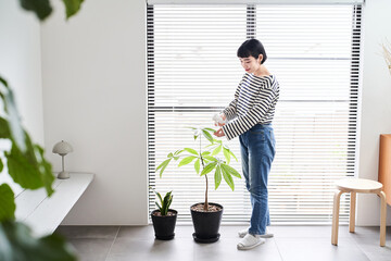部屋で観葉植物の世話をする若い女性