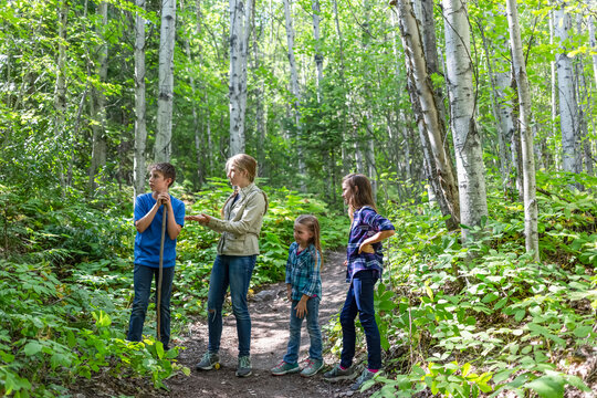 Four siblings, three girls and a boy, standing on a trail in a forest; British Columbia, Canada