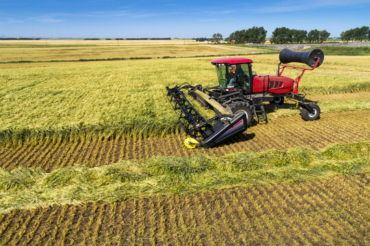 A swather cutting a barley field with graphic harvest lines; Beiseker, Alberta, Canada