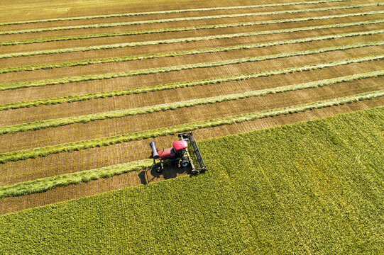 Aerial view of a swather cutting a barley field with graphic harvest lines; Beiseker, Alberta, Canada