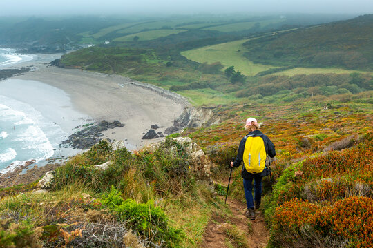 Female hiker on top of hillside trail framed by colourful fall bushes with foggy green hills and sandy beach in the background; Cornwall County, England