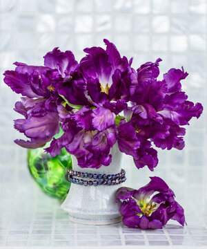 Bouquet of vibrant purple parrot tulips (Tulipa &times;gesneriana Parrot Group) in a white vase with decorative beads on a white counter top; Surrey, British Columbia, Canada