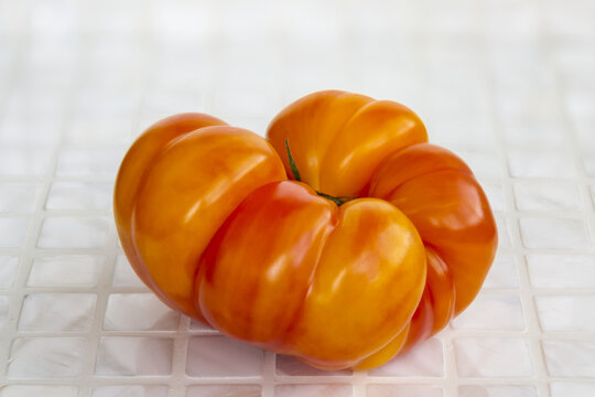 Close-up of orange, oddly shaped heirloom tomato shifting from golden blush to rose color on a white counter top; British Columbia, Canada
