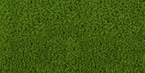 Green football field vector texture. Sport grassland background. Greeny yard top view. Spring ground seamless pattern. Baseball court shape. Fresh park plant