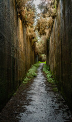 Fototapeta na wymiar Camino entre dos murallas antiguas y naturaleza