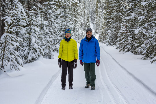 A female and male couple walking along a cross country ski trail, with snow covered trees lining the trail, Banff National Park; Lake Louise, Alberta, Canada