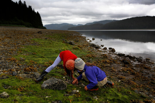 Two girls beach-comb near the water's edge, Inside Passage, Alaska, USA