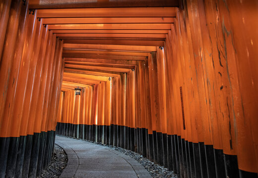 1,000 torii gates line the main path to Fushimi Inari-taisha, Shrine of the Kami Inari, Kyoto, Japan