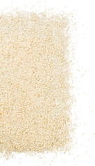 SesameSesame seeds scattered. Spices for buns and bread