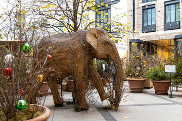 London, Uk - 17 December 2022, Life sized Asian elephants made from bamboo near a Covent Garden restaurant as part of the CoExistence campaign.