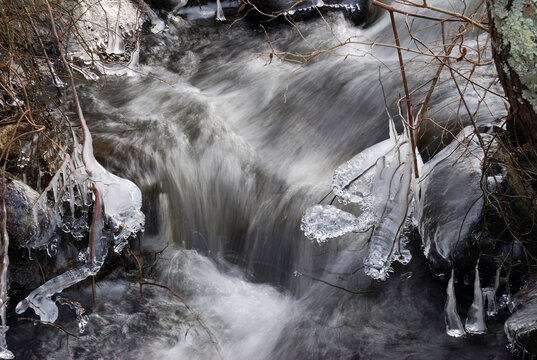 Ice formations along the edge of a stream on Cape Cod.; Brewster, Cape Cod, Massachusetts.