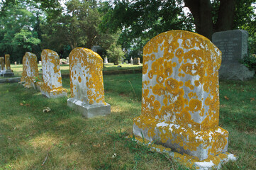 Lichen-encrusted tombstones in a cemetery.; Dennis, Cape Cod, Massachusetts.
