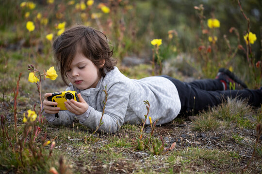Young girl lays in a meadow looking at pictures on a camera; Maui, Hawaii, United States of America