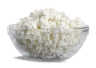 Tasty fresh curd or cottage cheese dairy products