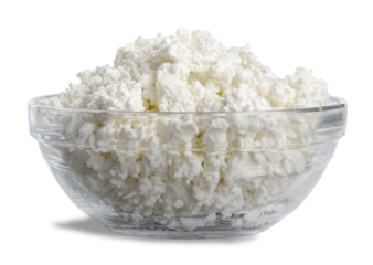 Tasty fresh curd or cottage cheese dairy products
