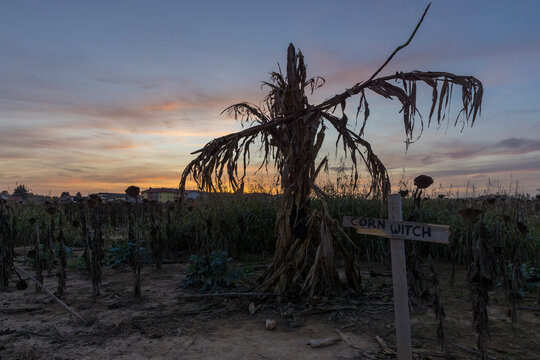 Ghost on a field during sunset, no people are visible.