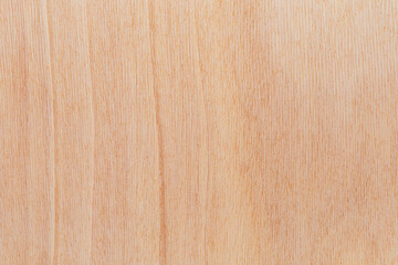Naklejka premium Light rough textured cut surface of an African tree. Wood background or blank for design
