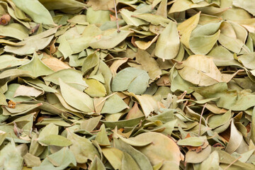 dried Myrtle Leaves