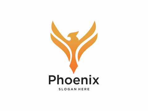 elegant phoenix logo with clean design template