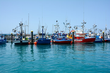 Colorful fishing boats in Los Cristianos Harbour, Tenerife, Spain