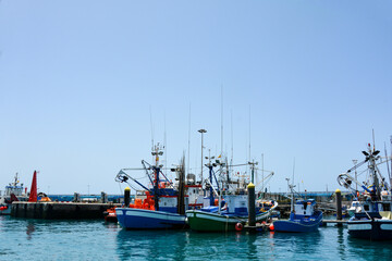 Fototapeta premium Colorful fishing boats in Los Cristianos Harbour, Tenerife, Spain