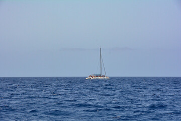 A catamaran with tourists on board sails across the  sea