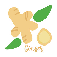 Vector ginger vector illustration. Asian spices cooking delicious asian food. asian food, asianfood