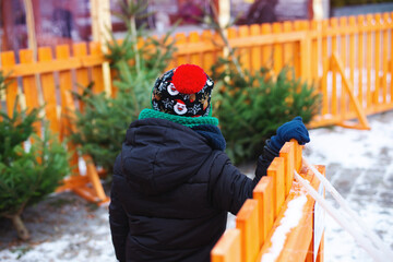 A little cute boy chooses a Christmas tree for a holiday at the place where Christmas trees are sold.